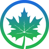 Buzz Palm Tree Pruning